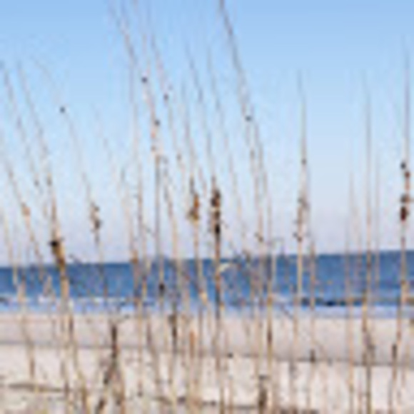 gayle_burnside